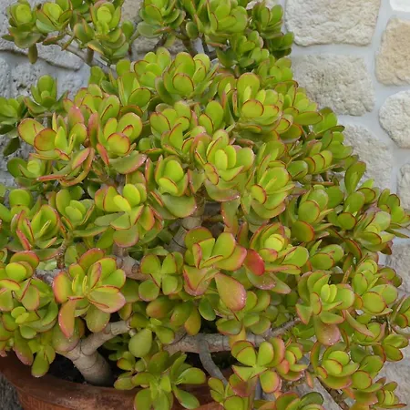 Antica Dimora