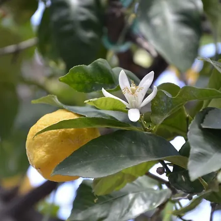 Nocleg ze śniadaniem Antica Dimora Olbia